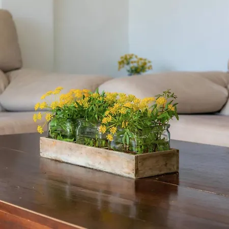 度假居 Casa Luz Cala Rajada